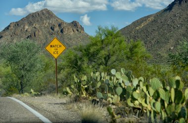buz simgesi sıcak çöl iklimi de yol için izle