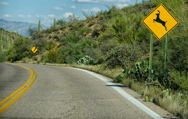 deer crossing warning sign on street in arizona