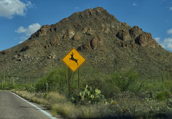 Warning deer crossing sign — Stock Photo, Image