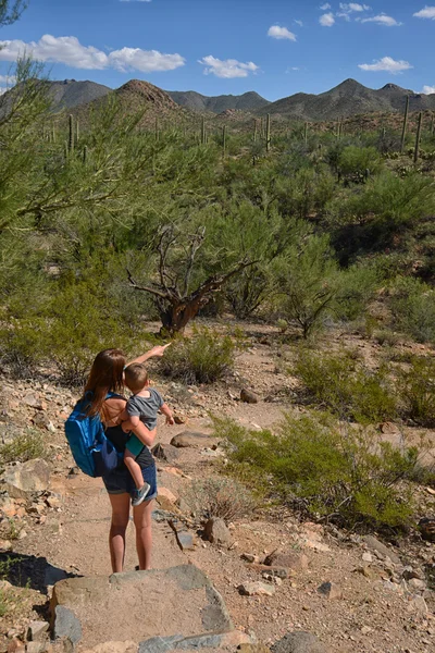 Madre caminando con el niño en el suroeste y mostrándole el cactus —  Fotos de Stock