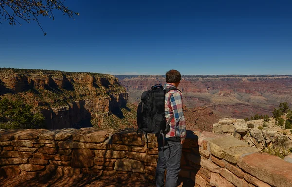 Um homem com uma mochila a visitar o Grand Canyon — Fotografia de Stock