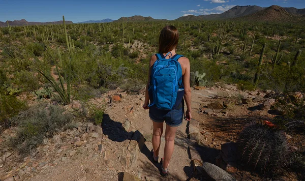 Caminata por el desierto con cactus y montañas —  Fotos de Stock