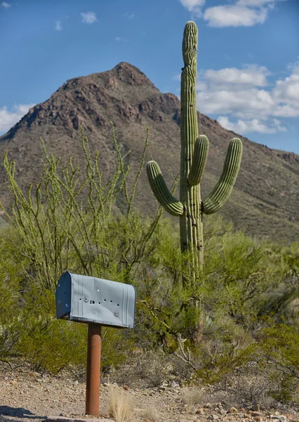 Old west in arizona — Stock Photo, Image