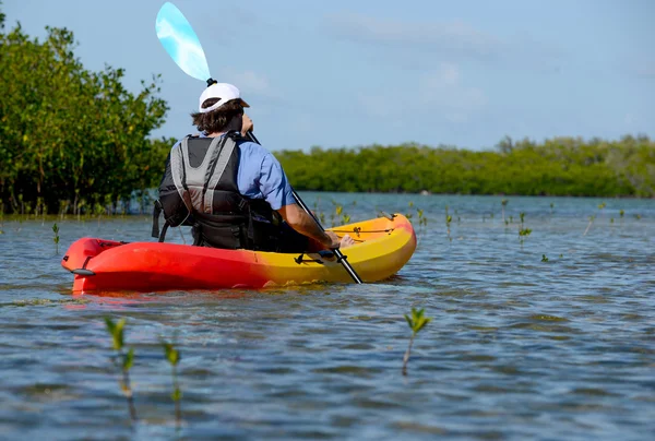 Adam florida Bay mangroves ile Kayak — Stok fotoğraf