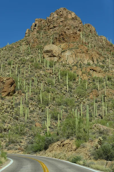 Empty road driving up a mountain in the american southwest — Stock Photo, Image