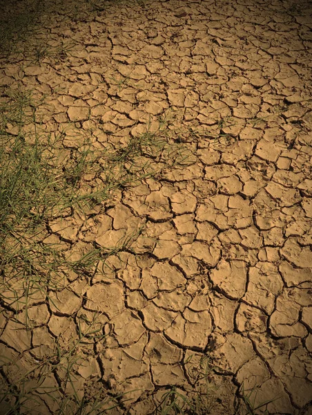 Dürre Land und Umwelt lizenzfreie Stockbilder