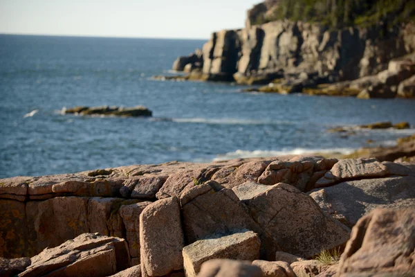 Krásné letní obrázek Acadia National Park — Stock fotografie