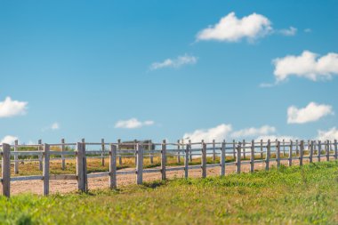 hayvanlar ve yeşil alan yürüyüş için ağıl