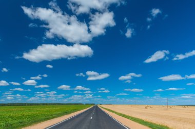 yeşil ve sarı alanları ayıran otomobil yol