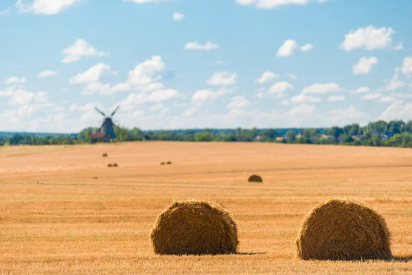 Ideale campo agricolo raccolto e mulino a vento in lontananza — Foto Stock