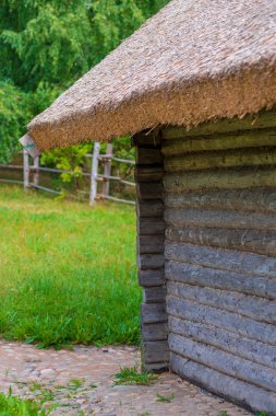 şehir dışında thatched çatı ahşap kulübe
