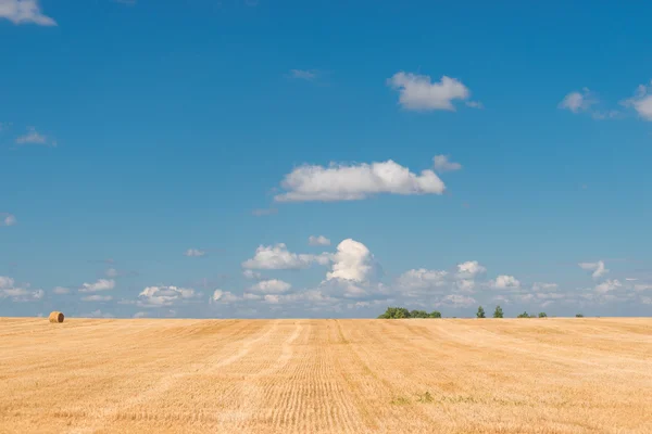 Belarus harvested fields in a clear autumn day — Stock Photo, Image