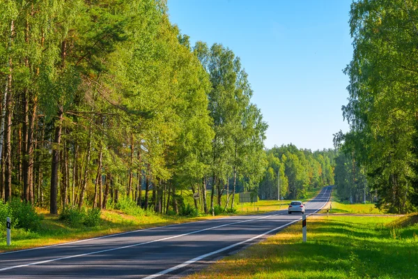 Auto grigia in movimento su una strada suburbana in zona boscosa — Foto Stock