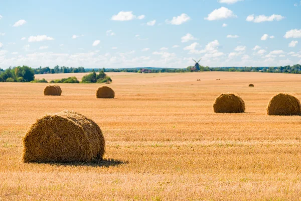 Pile di paglia in un campo giallo raccolto — Foto Stock