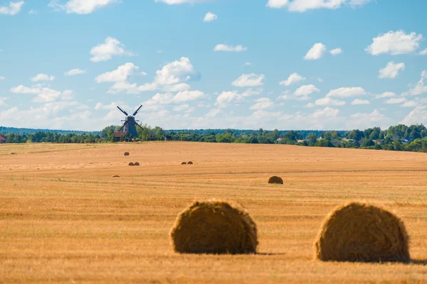 Bellissimo paesaggio rurale è il campo e il mulino — Foto Stock