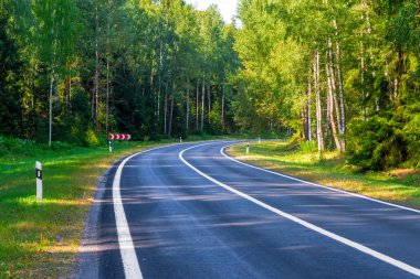 tehlikeli sıra otomobil yol orman alanında