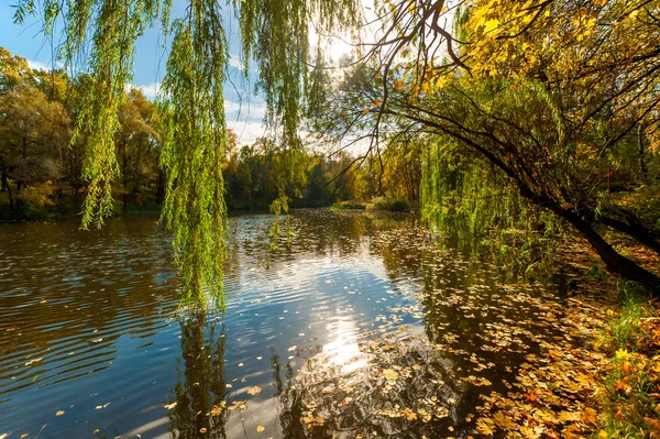 Piękny krajobraz jesień, jezioro w parku — Zdjęcie stockowe