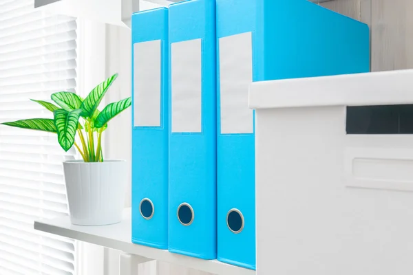 Office shelf with folders and a flower in a pot closeup — Stock Photo, Image