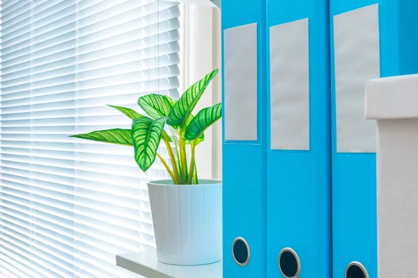 Shelf with folders near the window in the office close up — Stock Photo, Image