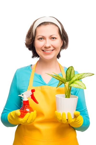 Dona de casa segurando uma flor em um pote no fundo branco tiro em — Fotografia de Stock