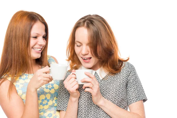 Girlfriends enjoying a delicious tea, portrait on a white backgr — Stock Photo, Image