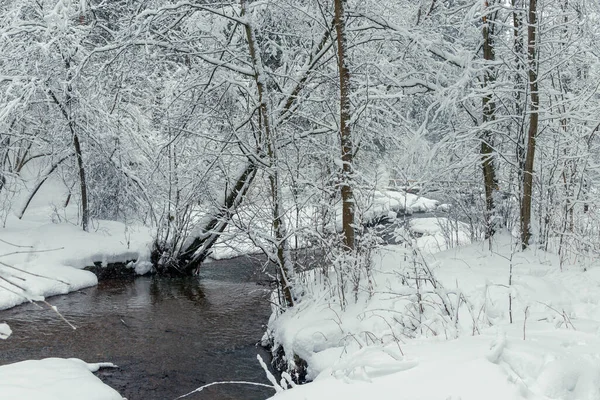 Снежный Зимний Лес Текущая Река Живописный Пейзаж Зимний День Лесу — стоковое фото