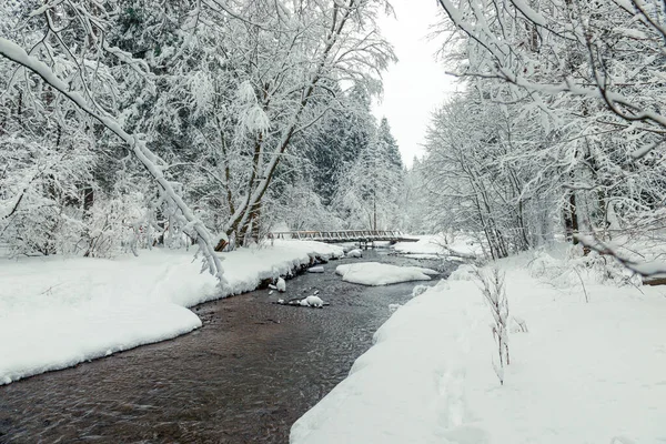 Drewniany Most Nad Rzeką Zimowym Zaśnieżonym Lesie Piękny Krajobraz — Zdjęcie stockowe