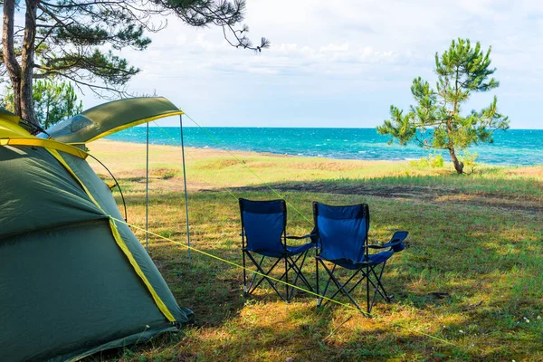 Camping Tent Couple Chairs Sea Shade Pine Trees — Stock Photo, Image