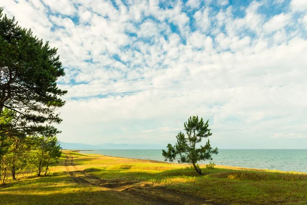 Playa Mar Día Soleado Sombra Del Paisaje Los Pinos — Foto de Stock