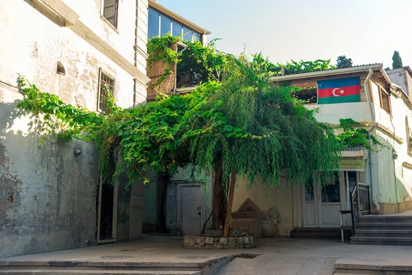 Красивая Зеленая Улица Старом Городе Баку Азербайджан — стоковое фото
