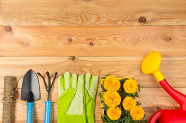 Çerçevedeki harfler için nesnelerin konsept bahçe düz alanı