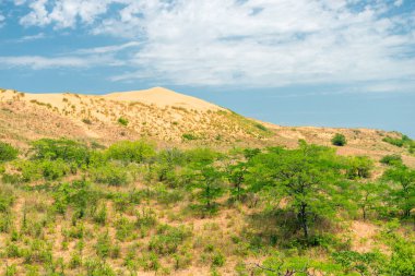 Dağıstan, Rusya 'da kum tepeciği Sarikum
