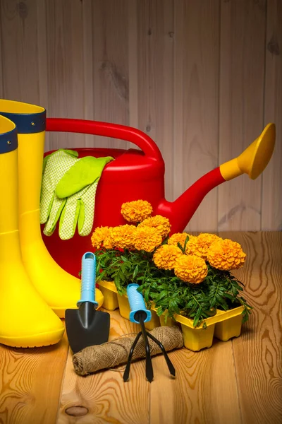 Frühjahrskonzept Gartengeräte Für Den Garten Gummistiefel Und Setzlinge Gießkanne Saisonale — Stockfoto