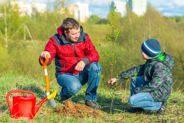 Father Son Schoolboy Spring Plant Tree Shoot Park Concept Family — Stock Photo, Image