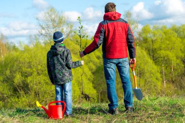 Baba ve oğul okul çocuğu ilkbaharda park konseptine bir ağaç fitili dikerler aile, yardım, bakım