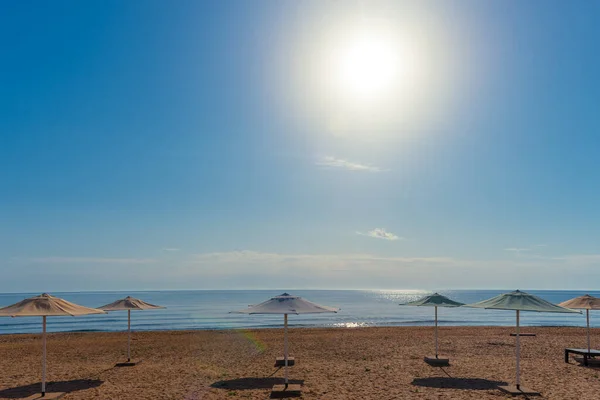 Sabahları Kumsalda Kumlu Bir Sahilde Sıralanmış Şemsiyeler — Stok fotoğraf