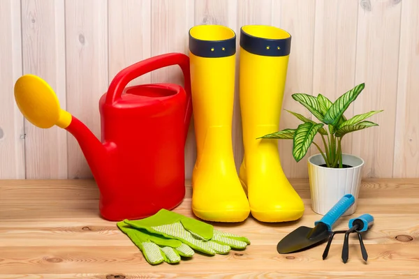 Concepto Primavera Herramientas Jardinería Para Jardinería Botas Goma Plántulas Regadera — Foto de Stock