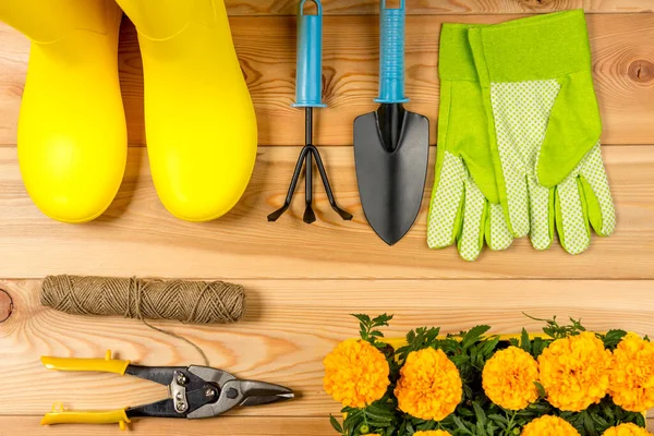 rubber boots, flowers and gardening tools top view gardening concept