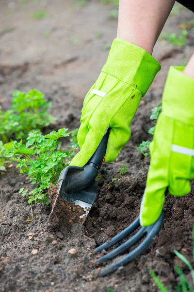 Close Beeld Van Vrouw Met Spade Graven Grond Tuin — Stockfoto