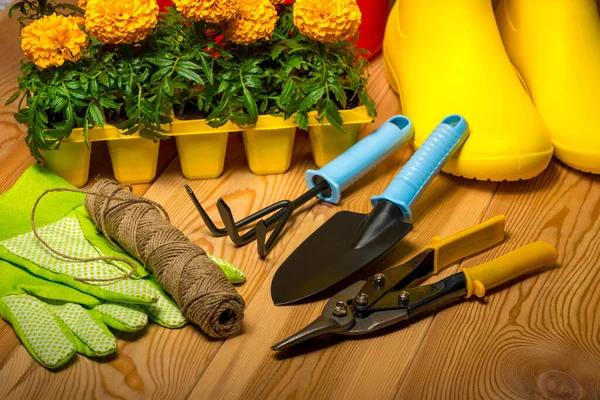 Vårkoncept Trädgårdsredskap För Trädgårdsskötsel Gummistövlar Och Plantor Vattenkanna Säsongsarbete Trädgården — Stockfoto