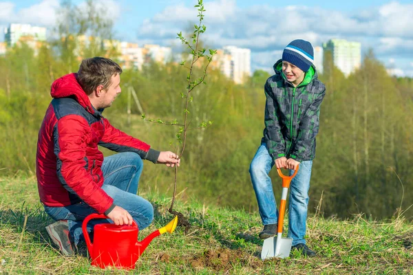 Pai Filho Estudante Primavera Planta Uma Árvore Atirar Parque Conceito — Fotografia de Stock