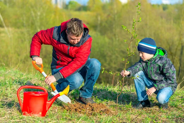 Father Son Schoolboy Spring Plant Tree Shoot Park Concept Family — Stock Photo, Image