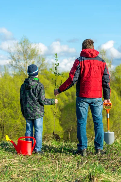 Père Fils Écolier Printemps Plantent Une Pousse Arbre Dans Parc — Photo