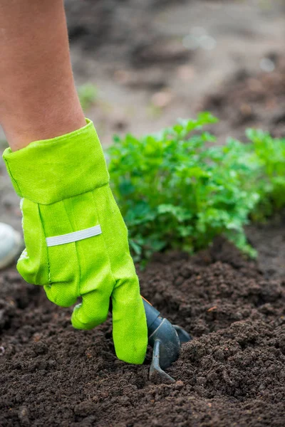 Close Beeld Van Vrouw Met Spade Graven Grond Tuin — Stockfoto