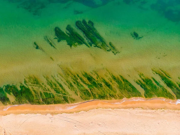 Deniz kıyısı, manzaranın üstünde, plaj arka planı. Okyanus yüzeyi, deniz yosunu..  