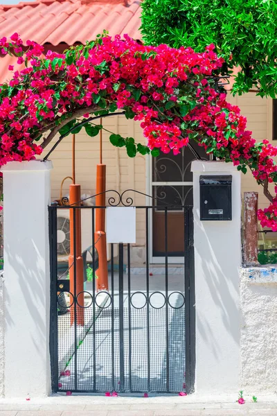 Flowers Arch House — Stock Photo, Image