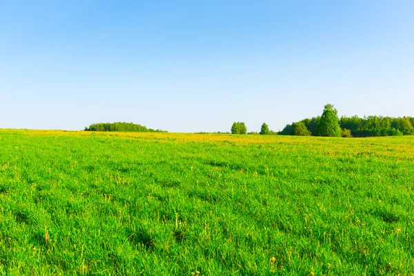 Hermoso campo ruso y cielo despejado — Foto de Stock