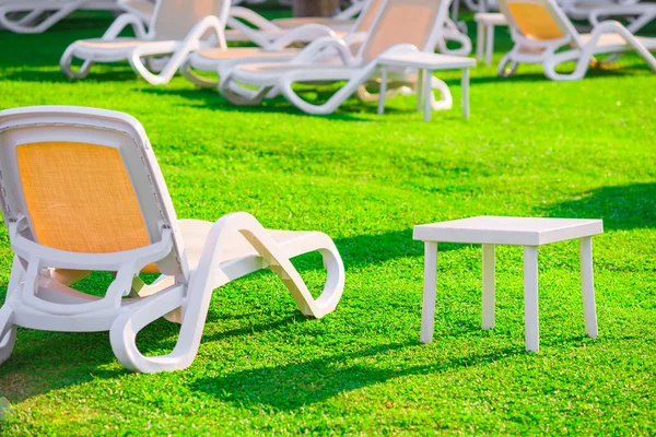 Groene gazon en lege ligstoelen bij dageraad — Stockfoto