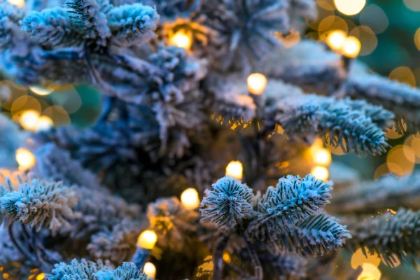 Jul vinter grön tree närbild och snön Stockbild