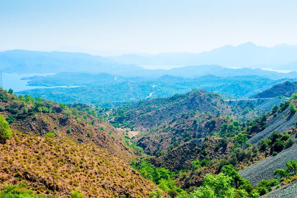 Panorama of the beautiful valley with coniferous forests — Stock Photo, Image